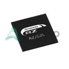 R9A07G043F01GBG#AC0