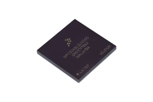 Razumevanje MPC8245LZU300D Celoten vodnik